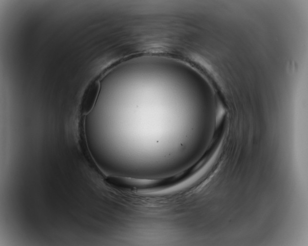 X0000088841410200706141530