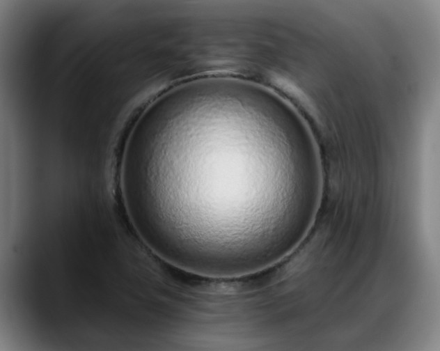 X0000088841411200706141530