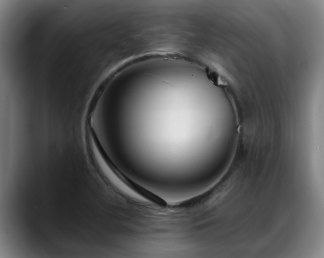 X0000088841412200706141530