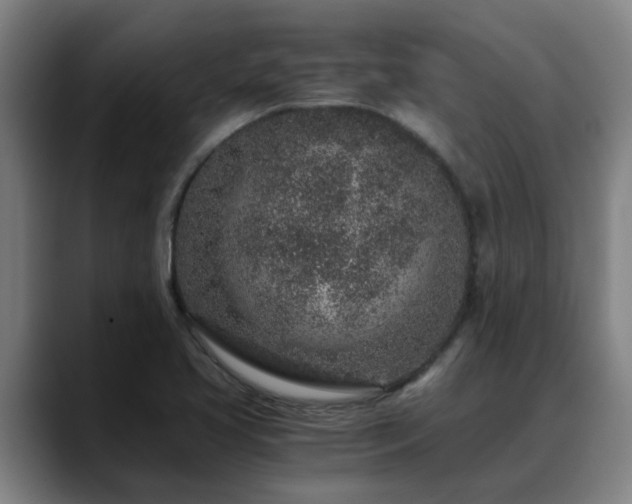 X0000088841413200706141530