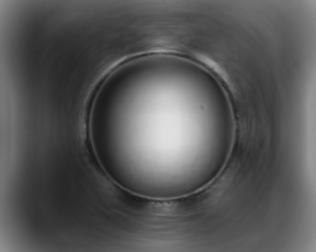 X0000088841415200706141530