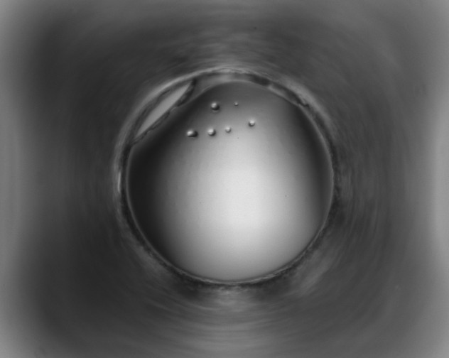 X0000088841416200706141530