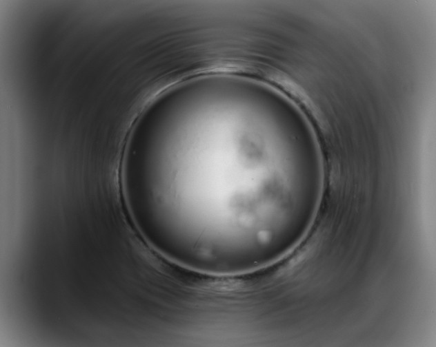 X0000088841417200706141530