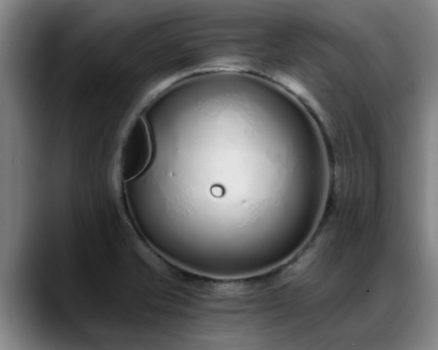 X0000088841421200706141530