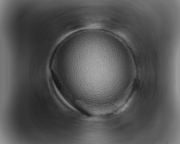 X0000088841422200706141530