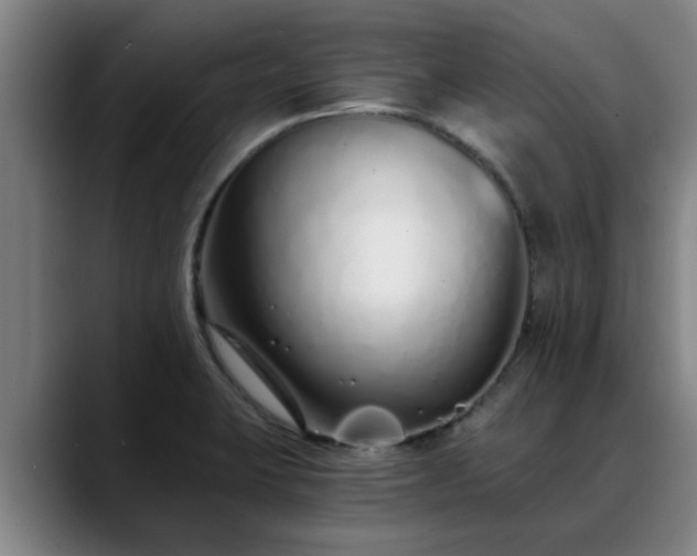 X0000088841423200706141530