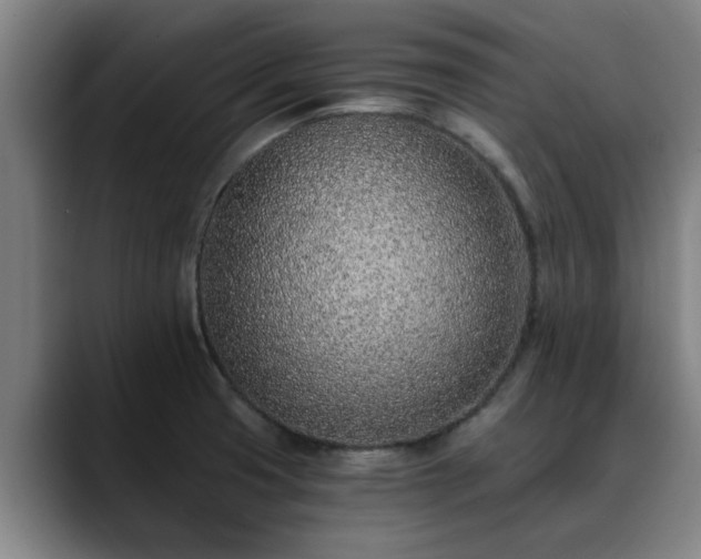 X0000088841425200706141530