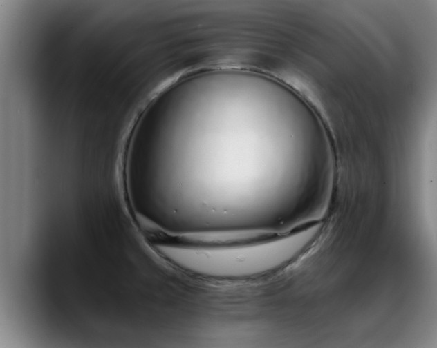 X0000088841429200706141530