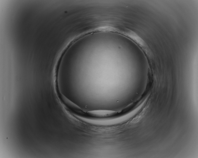 X0000088841430200706141530