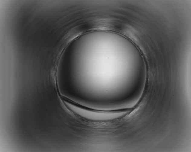 X0000088841433200706141530