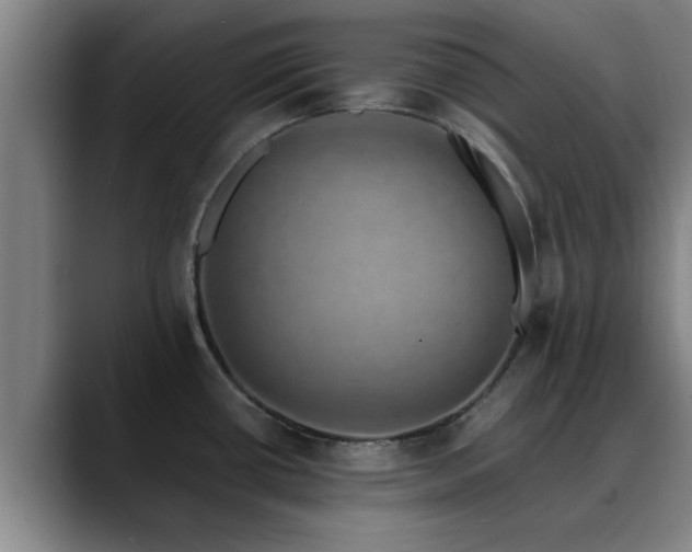 X0000088841434200706141530