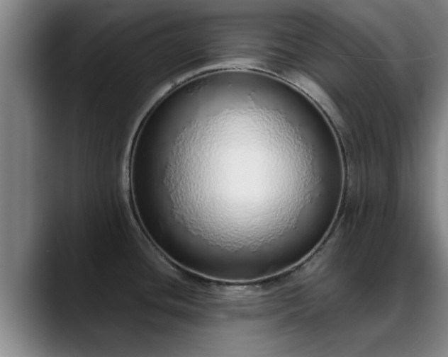 X0000088841436200706141530