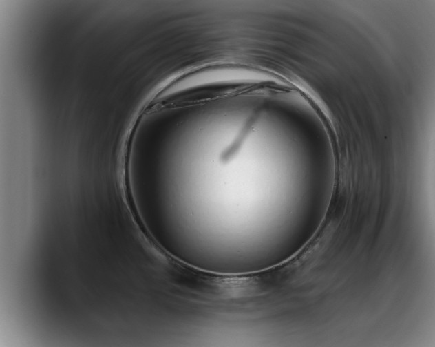 X0000088841437200706141530