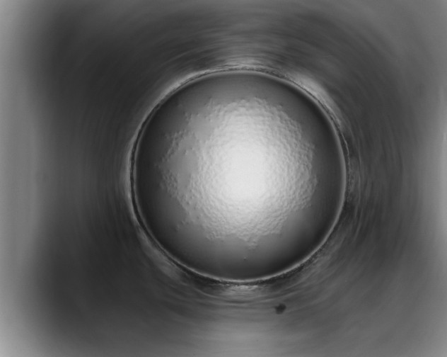 X0000088841439200706141531