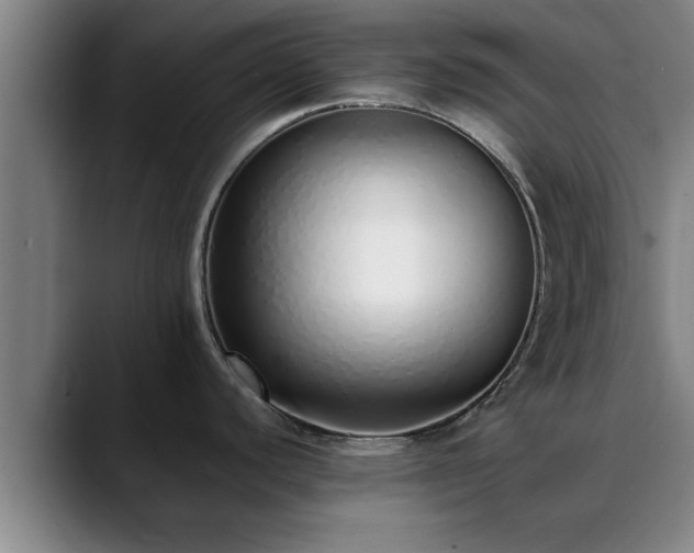 X0000088841440200706141531