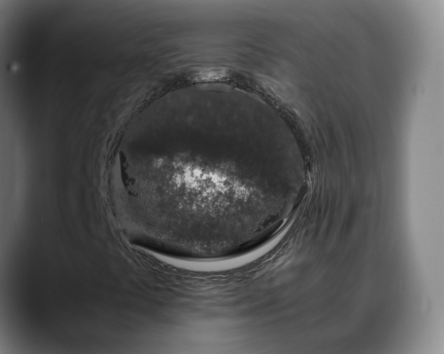 X0000088841441200706141530