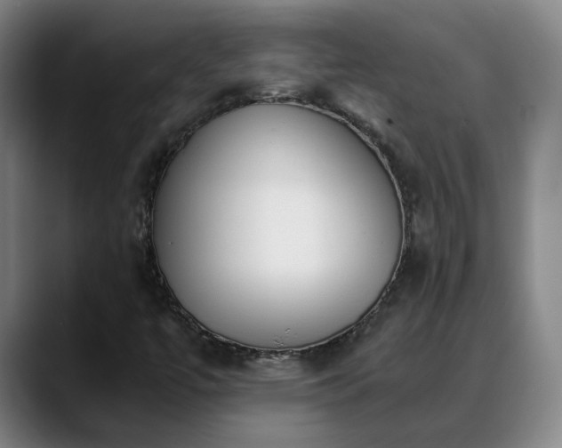 X0000088841447200706141530