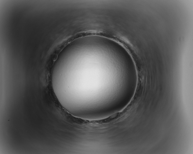 X0000088841448200706141530