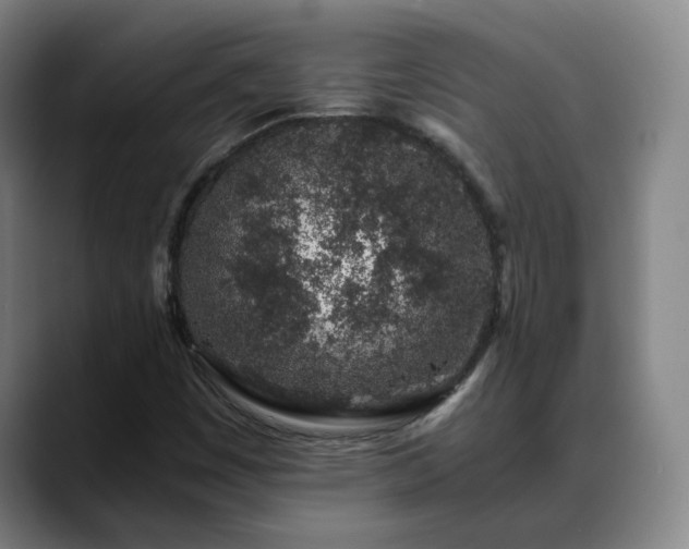 X0000088841449200706141530