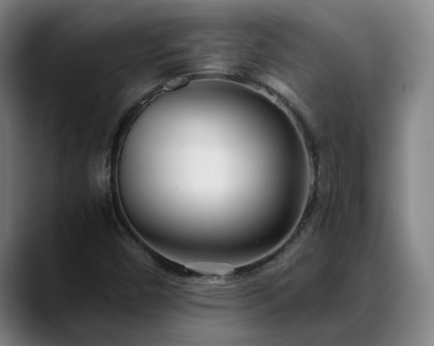 X0000088841450200706141530