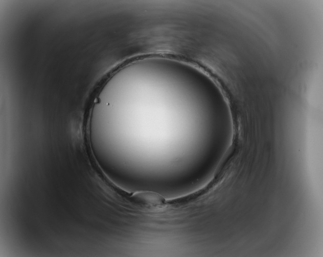 X0000088841452200706141530