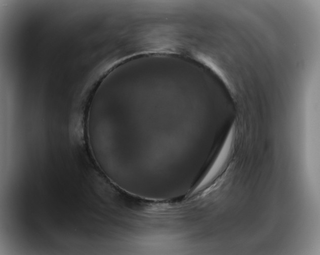 X0000088841455200706141530