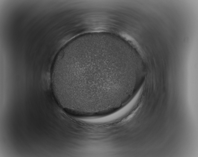 X0000088841457200706141530