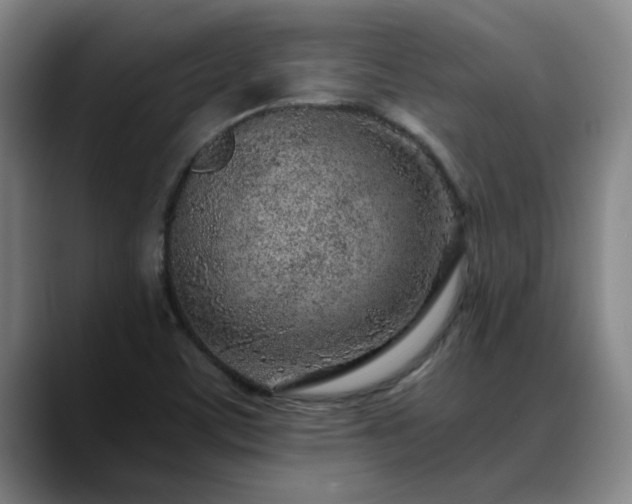 X0000088841459200706141530