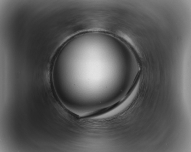 X0000088841460200706141530