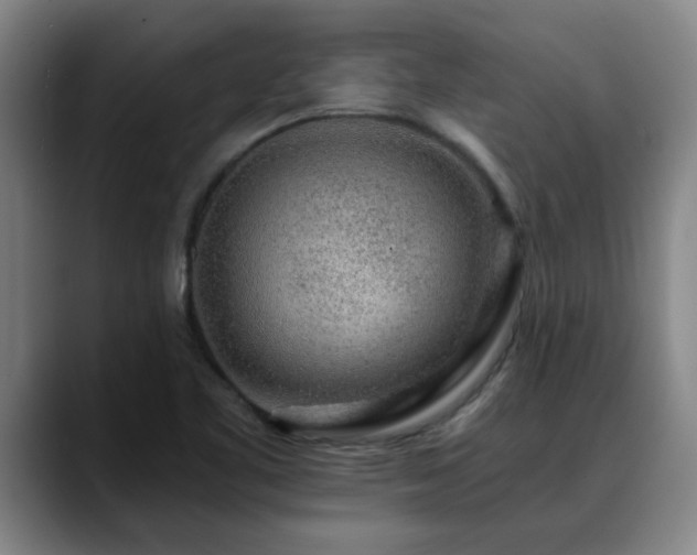 X0000088841461200706141530