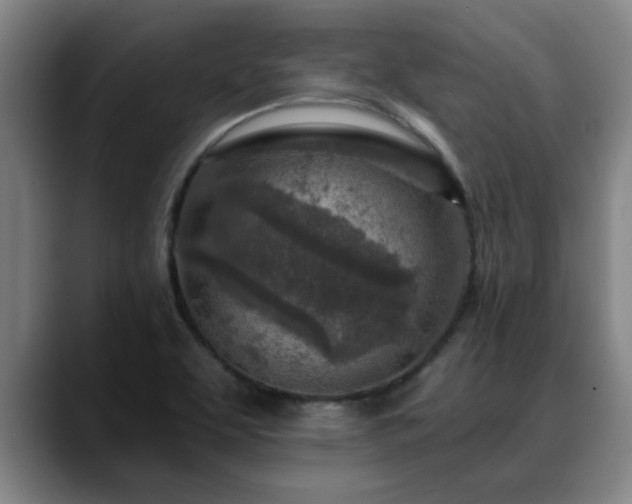 X0000088841463200706141530