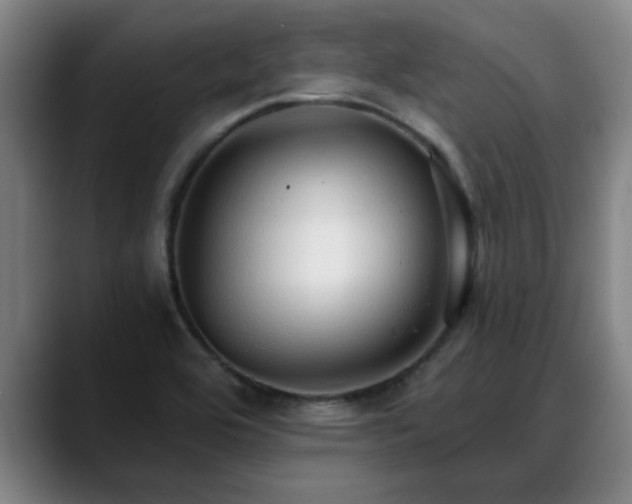 X0000088841464200706141530