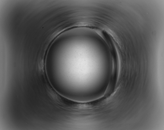 X0000088841465200706141530