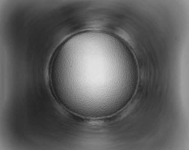 X0000088841466200706141530