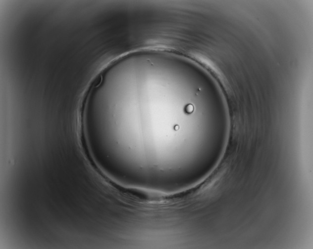 X0000088841467200706141530