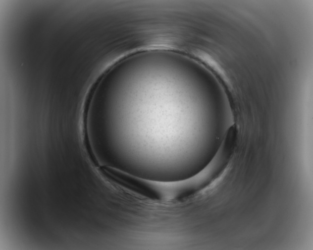 X0000088841469200706141530