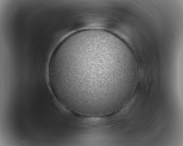 X0000088841470200706141530