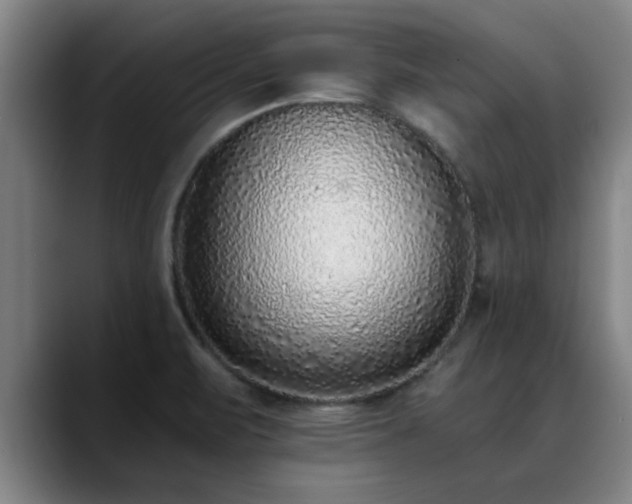 X0000088841471200706141530