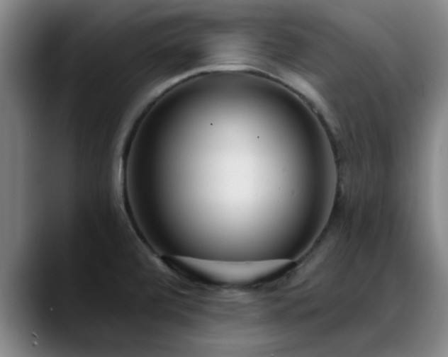 X0000088841472200706141530