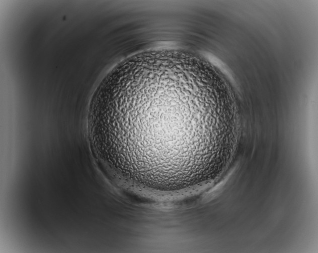 X0000088841473200706141530