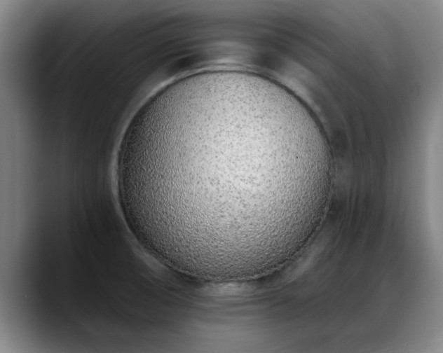 X0000088841474200706141530