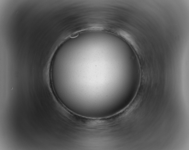 X0000088841475200706141530