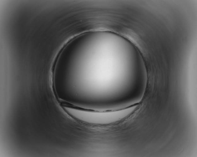 X0000088841476200706141530