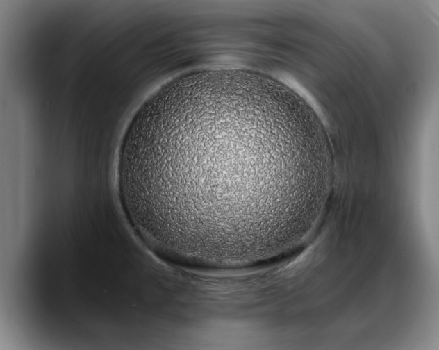 X0000088841477200706141530