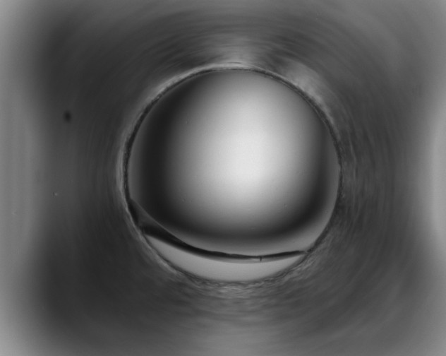 X0000088841480200706141530