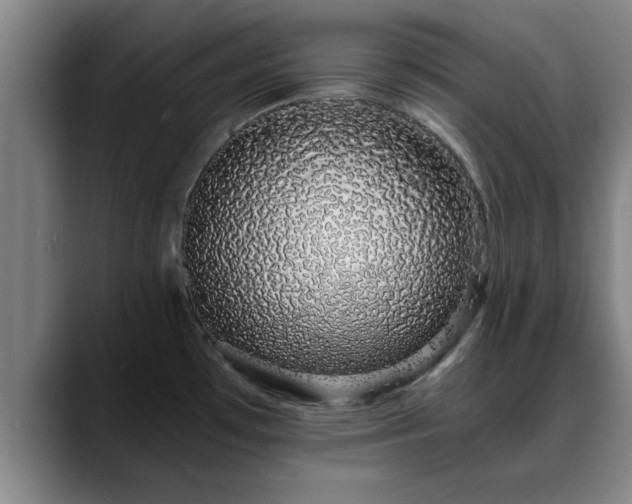 X0000088841481200706141530