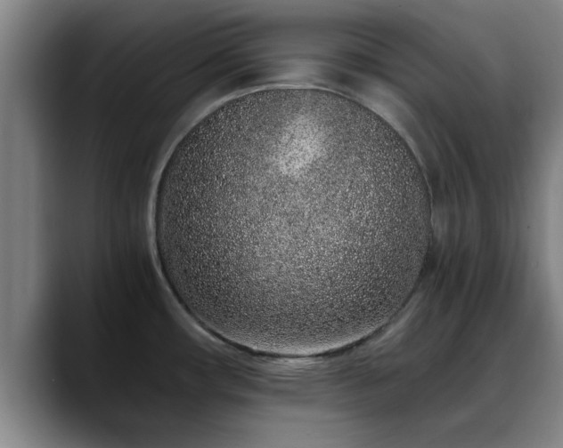 X0000088841482200706141529