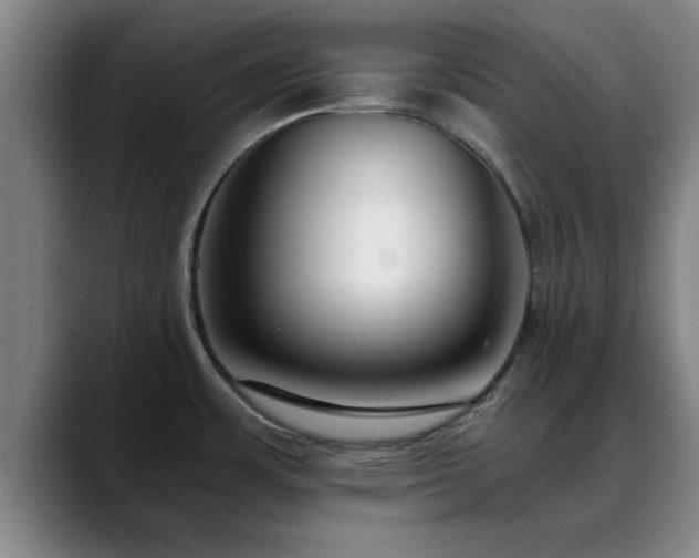 X0000088841483200706141529