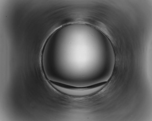 X0000088841484200706141529