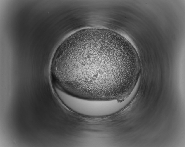 X0000088841485200706141529